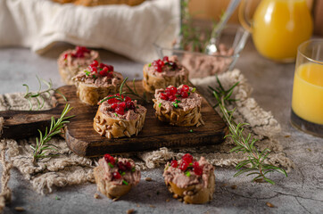Homemade pate on heathy bread with cranberries