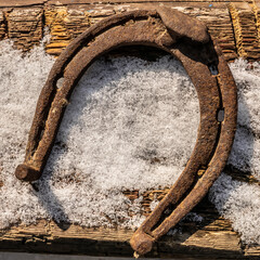 Forgotten horseshoe in the snow.
