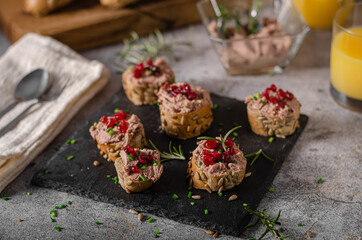 Homemade pate on heathy bread with cranberries