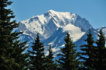 Vue du massif du Mont Blanc à travers les arbres depuis le col des Saisies, Savoie, France