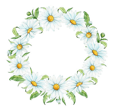 Watercolor frame, made of chamomile, and leaves, Spring clip art, on an isolated background, white wildflowers.