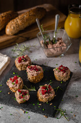 Homemade pate on heathy bread with cranberries