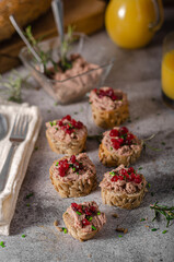 Homemade pate on heathy bread with cranberries