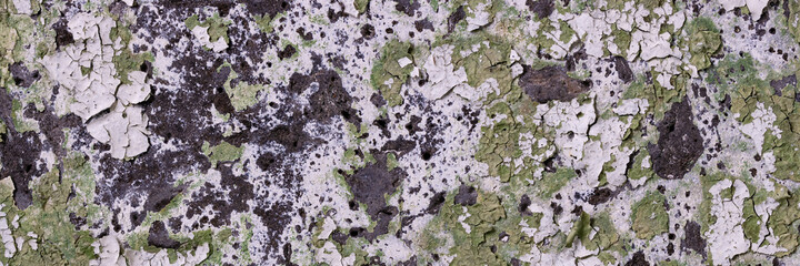 Peeling paint on the wall. Panorama of a concrete wall with old cracked flaking paint. Weathered rough painted surface with patterns of cracks and peeling. Wide panoramic texture for design background