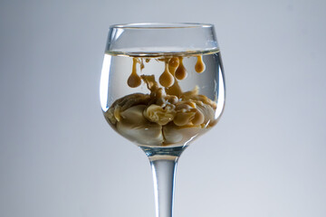 Reverse irish cream monkey brain shot drink in old fashioned elegant glass. Gradient background
