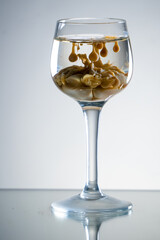 Reverse irish cream monkey brain shot drink in old fashioned elegant glass, stands on reflective surface. Gradient background