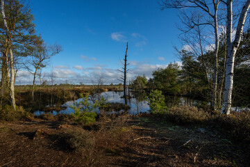 Weitwinkelaufnahme einer kahlen Landschaft im Pietzmoor