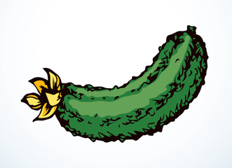 Small green cucumber. Vector drawing