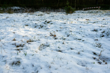 Wenig Schnnee auf einer Wiese am Waldrand