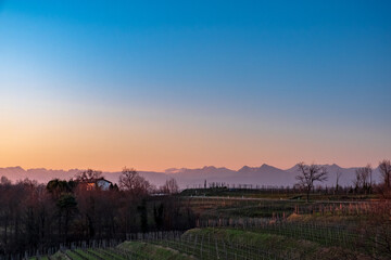 Obraz premium Winter sunset in the vineyards of Collio Friulano