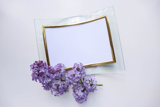 blank greeting card. spring flowers. branch of lilac on a white background