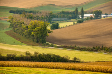 Fototapeta premium Autumn landscapes in South Moravia, Bohemia. The undulating fields shimmer with shades of green, brown and yellow.