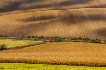 Autumn landscapes in South Moravia, Bohemia. The undulating fields shimmer with shades of green, brown and yellow.