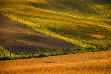 Autumn landscapes in South Moravia, Bohemia. The undulating fields shimmer with shades of green, brown and yellow.