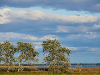 Lichtstimmung am Bodstedter Bodden bei Zingst am Abend, Nationalpark Vorpommersche Boddenlandschaft, Mecklenburg-Vorpommern, Deutschland