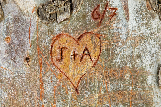 In Baumrinde eingeritztes Herz mit dem Zeichen "J+A", Insel Naxus, Kykladen, Griechenland