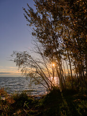 Lichtstimmung am Bodstedter Bodden bei Zingst am Abend, Nationalpark Vorpommersche Boddenlandschaft, Mecklenburg-Vorpommern, Deutschland