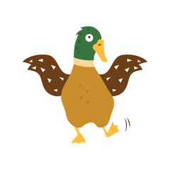 Cartoon duck, vector illustration on white isolated background