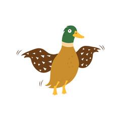 Cartoon duck, vector illustration on white isolated background