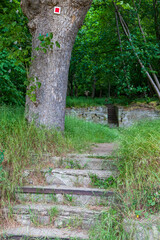 gläserner Mönch bei Langenstein Halberstadt harz