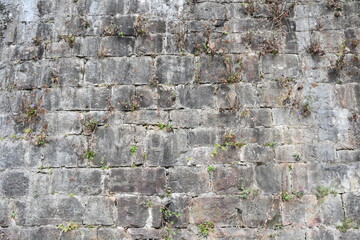 MURO CASTILLO BUTRON