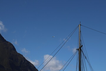 Fototapeta premium Plane Spotted From Sailing Boat Milford Sound