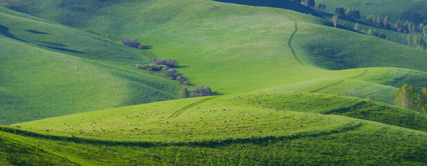 Green meadows and mountain slopes, summer, panorama nature, Altai