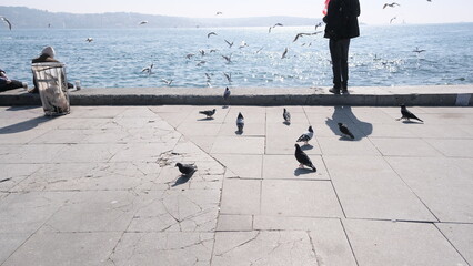 04.03.2021. istanbul. Turkey. Bosphorus istanbul. People and tourist are sitting on concrete stone...