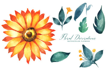 sunflower watercolor flower and leaves collection