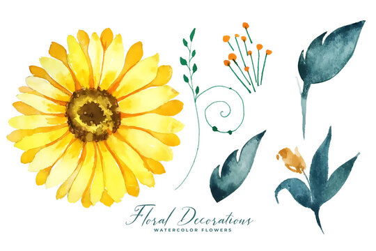 watercolor sunflower and leaves collection elements