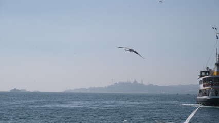 Turkey. Istanbul 04.03.2021. İstanbul silhouette and haydarpasa main train station side kadikoy istanbul with ferry and lighthouse and huge seagulls