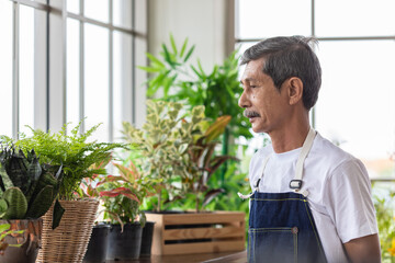 A portrait of a senior Asian man gardener poses with happy in planting corner at home