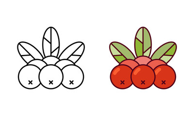 Rowan logo. Linear icon and color version. Black simple illustration of rowanberry, plant. Contour isolated vector pictogram on white background