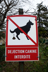 déjection canine