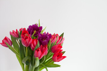 bouquet of tulips, bouquet of tulips on a white background