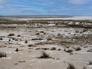 Inhospitable landscape in Etosha National Park. Namibia