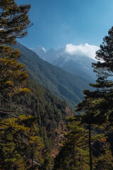 valley with snow-capped mountains in the background
