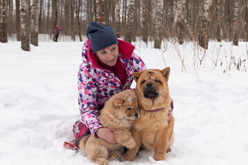 A Woman in winter with two dogs chow chow in nature