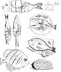 Cooking from fish and seafood