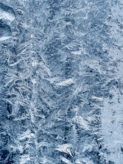 Ice crystals in the detail on a window glass in winter time