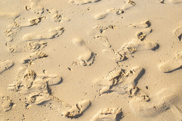 many footprints of people on the sand of the beach.
