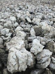 乾き始めた泥の塊