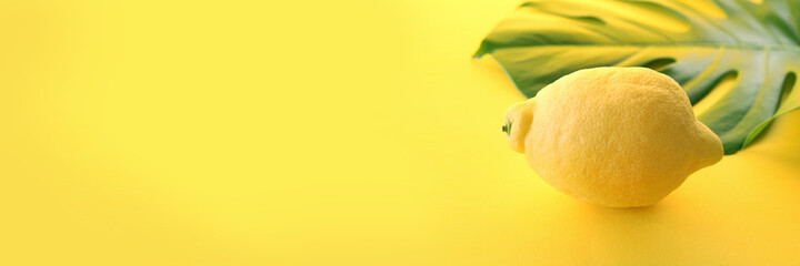 Lemon on bright yellow background