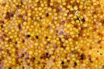Whole grain mustard. French mustard is isolated on a white background.