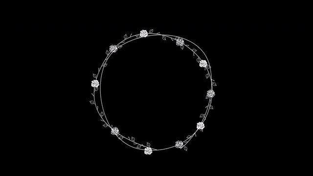 4K Hand drawn rose and leaves in circular ring animation isolated on black screen background
