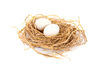Two duck egg in nest on white background