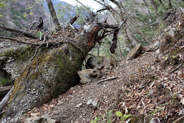 別府峡　石立山　登山