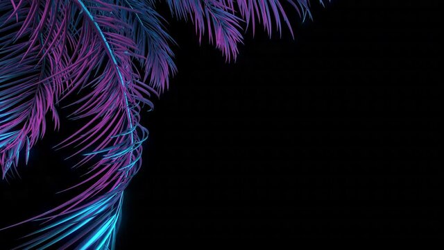 Animation. Palm tree branch. Vivid colors. 3D rendering. Abstract backround. Graphic design. Neon light. 4K Motion graphics