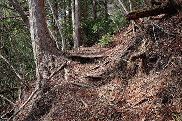 別府峡　石立山　登山