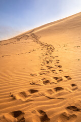 Footprints in African desert, remote wilderness in Namib Naukluft National Park, Deadvlei, Sossusvlei, Namibia.